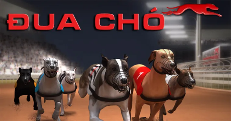 Trải Nghiệm Game Đua Chó Bon68 Kịch Tính Nhận Tiền Thưởng Ngay